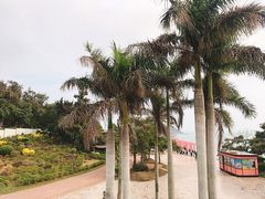 -漳州滨海火山岛自然生态风景区