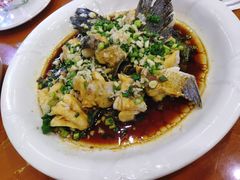 -全乐鱼馆·淳牌有机鱼直营店