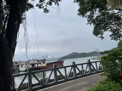 -小桂湾