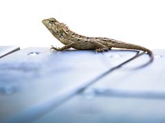 子兮摄影-28._副本-七仙岭君澜度假酒店