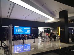 -奥斯卡升龙国际影城(RealD Cinema)