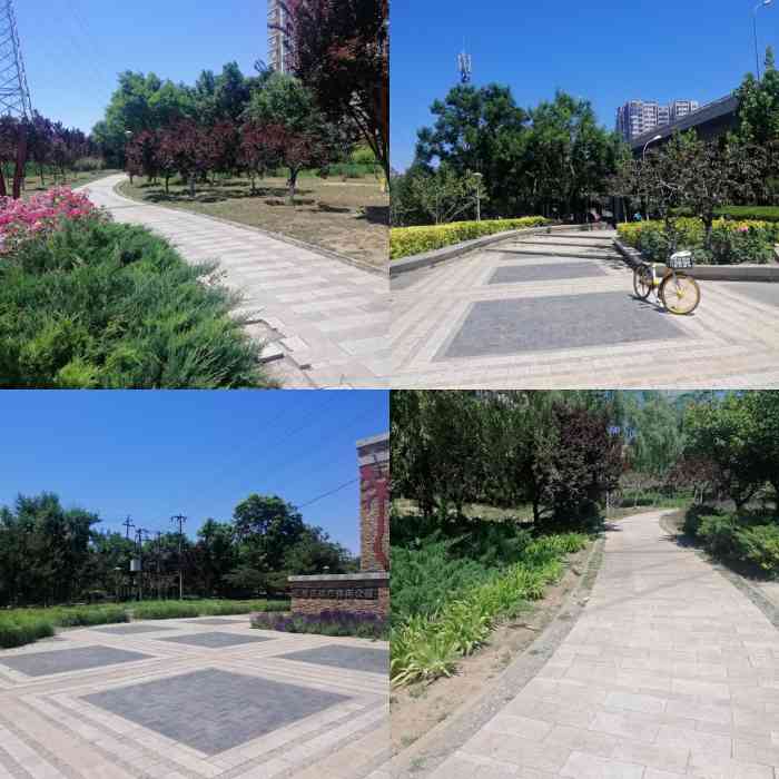 石榴庄城市休闲公园-"各种颜色各种品种的花聚在一起,简直就是花.