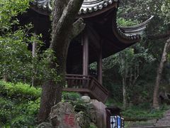 -宁波市保国寺古建筑博物馆