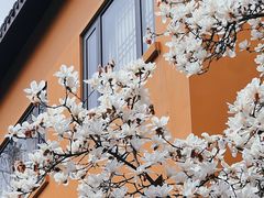 -龙华寺