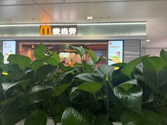 -麦当劳(上海虹桥站30B检票口楼上)