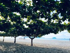 -三亚亚龙湾天域度假酒店