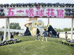 -荷兰花海