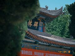 -西安碑林博物馆