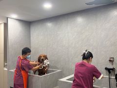 -阿荣24H宠物医院·综合型转诊中心·CT·核磁影像中心
