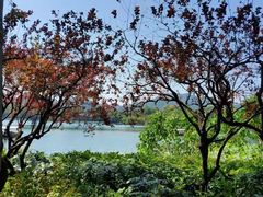 -西湖游船