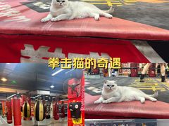 -拳盛时代拳击俱乐部(北京路店)