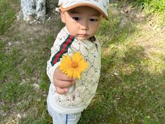 -昆山城市生态森林公园