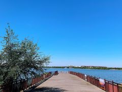 -武清南湖绿博园