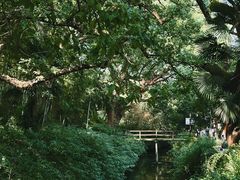 -古堰画乡景区