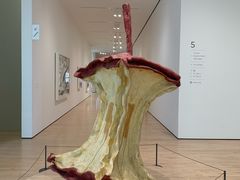 -旧金山现代艺术博物馆