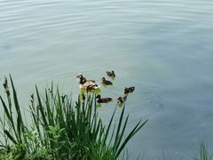 -朝阳公园