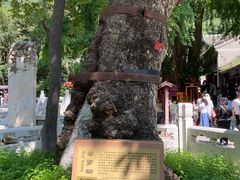 -潭柘寺景区