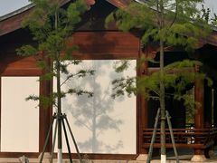 -江心屿景区