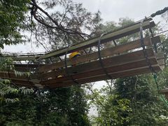 -芦仙山景区-飞越丛林探险乐园