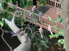 -南宫五洲植物乐园