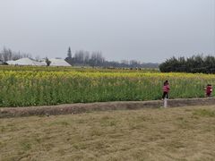 -中国天府农业博览园