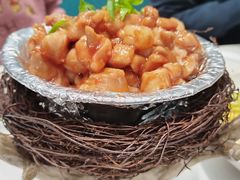 -丁老爷子苏香圆