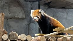 -Zoolung Zoolung动物主题公园(海信广场店)