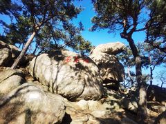 -崂山仰口游览区
