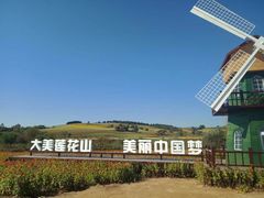 -莲花山花海