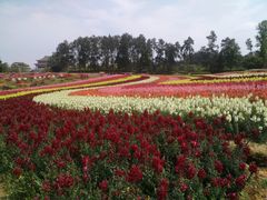 -保利石象湖景区
