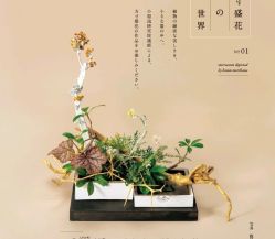 -今日陶艺(富力广场店)