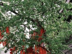 -鼓楼(西湖风景名胜区)