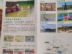 -中国扬子鳄村