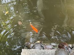 -南岳大庙