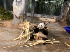 -海南热带野生动植物园