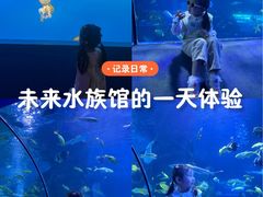 -太平洋海底世界