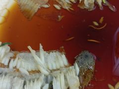 -烁佳海鲜大馅饺子