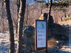 -北京鹫峰国家森林公园