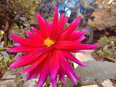 -阳光山水江湖菜馆(西山龙门店)