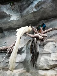 -Zoolung Zoolung动物主题公园(海信广场店)