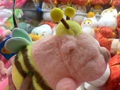 -光明广场