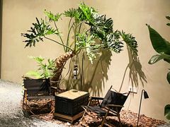 -J Create城市露营咖啡·简餐·宠物(上海动物园店)