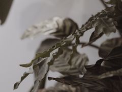 -不正咖啡(万达尊店)