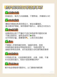 点击看大图 -玛莲朵·海菲秀冰珀科