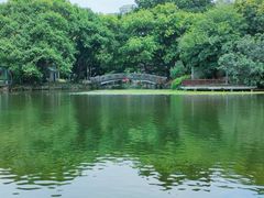 -荔湾湖公园