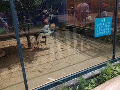 -无锡动物园·太湖欢乐园