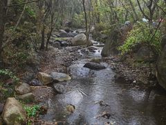 -云岫谷游猎自然风景区