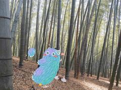 -宁波浙东大竹海景区