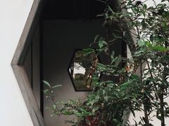 -秋霞圃
