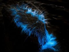 -西涌国际滨海旅游区